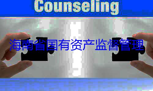委副书记王有福接受审资产监督管查调查理委员会党海南省国有